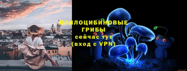 трава Медвежьегорск