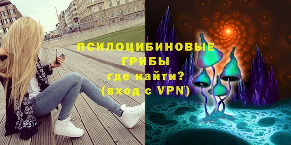 трава Медвежьегорск