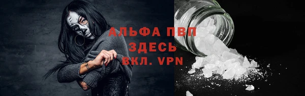 трава Медвежьегорск