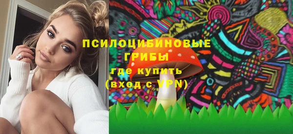 spice Мегион