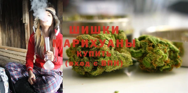 хмурый Бердск