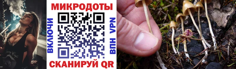 Псилоцибиновые грибы Cubensis  Правдинск 